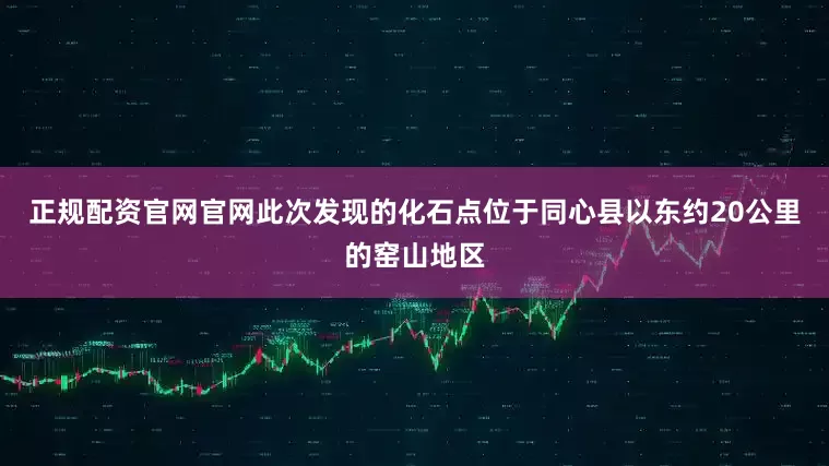 正规配资官网官网此次发现的化石点位于同心县以东约20公里的窑山地区