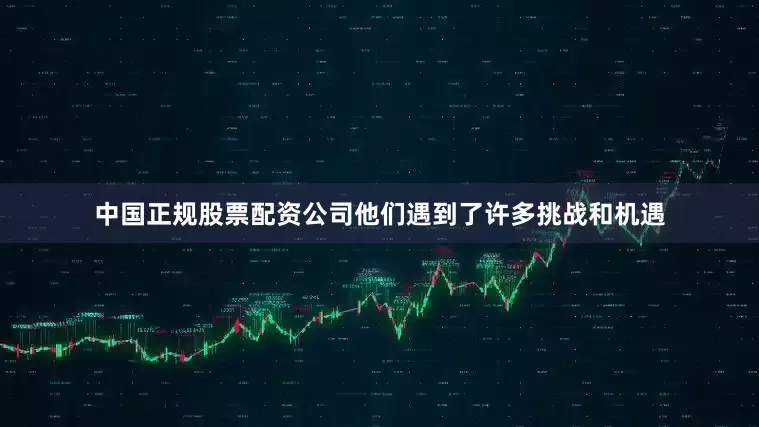 中国正规股票配资公司他们遇到了许多挑战和机遇